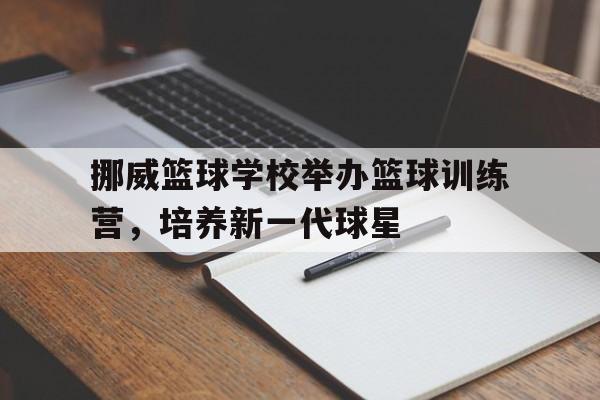 挪威篮球学校举办篮球训练营，培养新一代球星