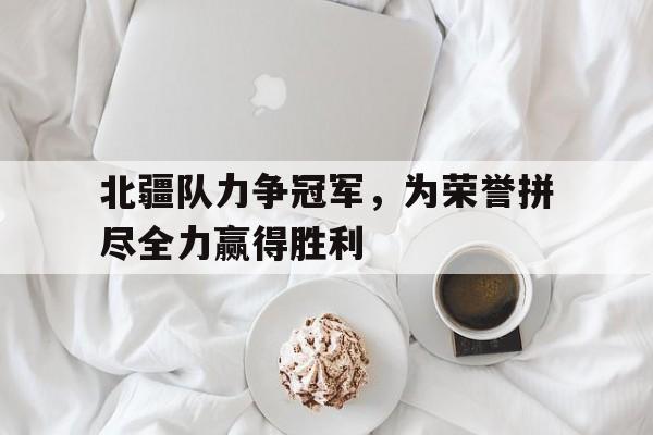 北疆队力争冠军，为荣誉拼尽全力赢得胜利